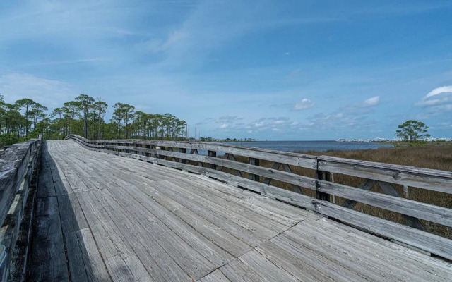 Seashell Shuffle at Pilot House