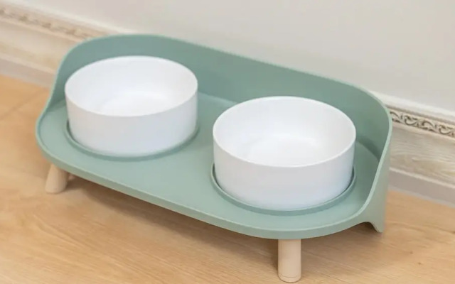 Yeosu Canada meo Village pet Pension