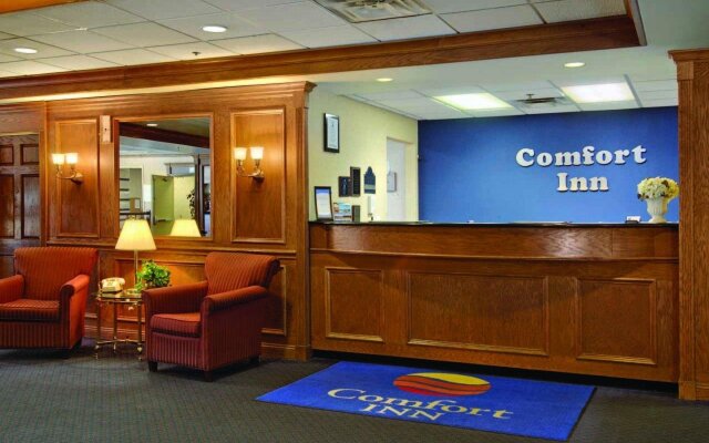 Comfort Inn Downtown