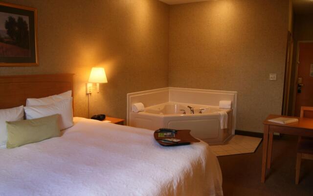 Hampton Inn & Suites Kalamazoo - Oshtemo