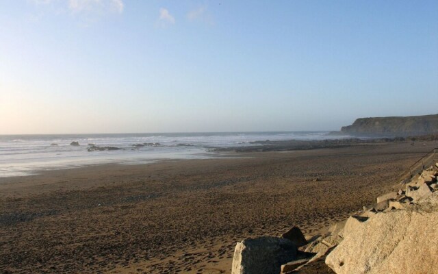 Driftwood