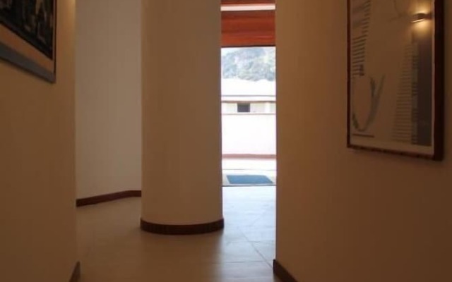 Il Caimano B&B