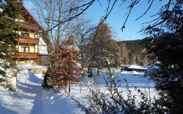 Moderne Komfortwohnung im Kurort am Rennsteig