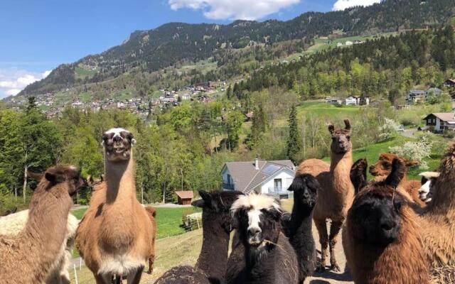 Jurte beim Lama- & Alpakahof Triesenberg