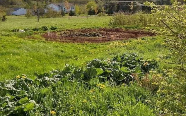 Windsbreath Celebrations and Retreats