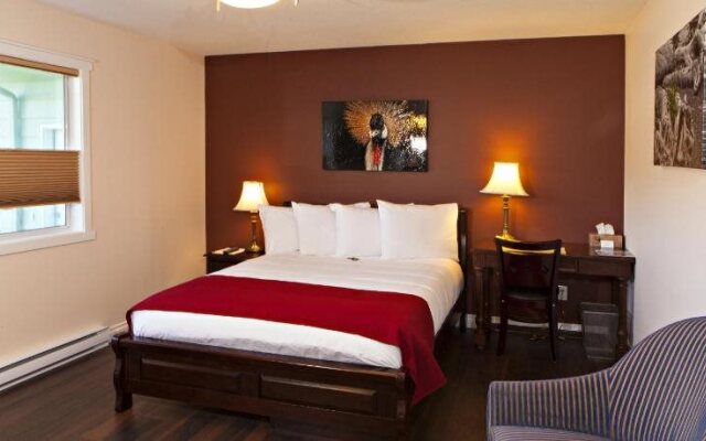 Escape B&B