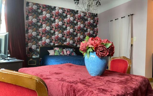 The Pink Studio - Exceptional location IN city center - Unique & Elegant