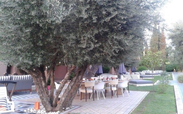 Jardin d'Ines By Christophe Leroy (Diplomatic Suite)