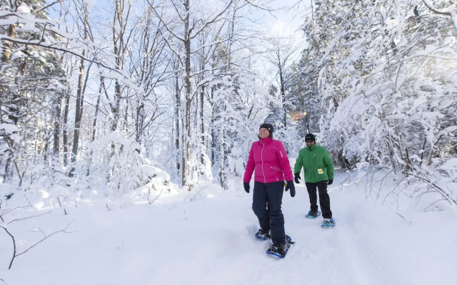 Mosaic At Blue Mountain Resorts