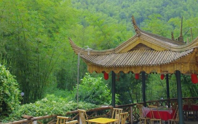 Yibin, Sichuan Bamboo Sea of Emerald Hills