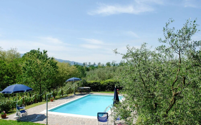 Podere Cerbaia Cerretti