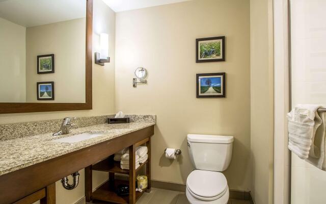Comfort Suites Hotel and Conference Center