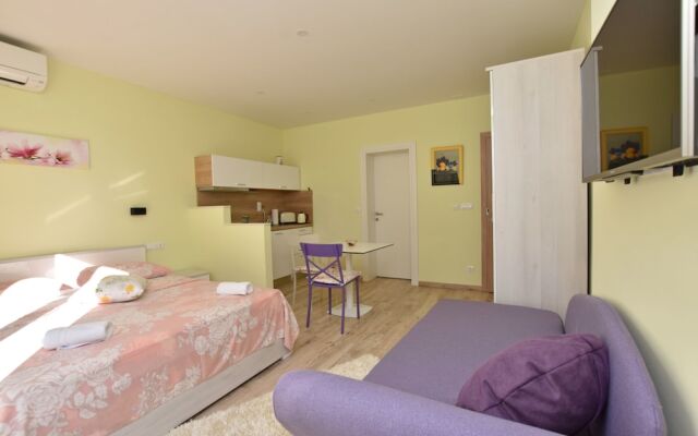 Apartments and Room Alen