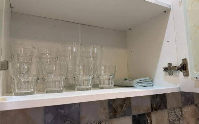 Апартаменты Pluton Aparts в СНТ Агро