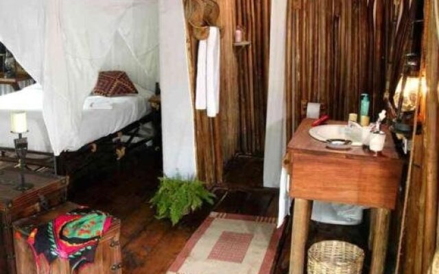 Expediciones Mexico Verde