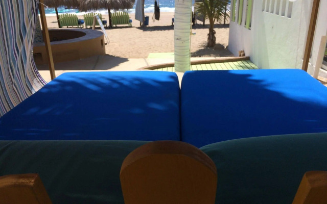 Agave del Mar