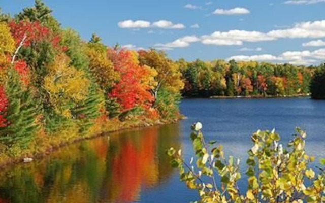 Villa Lago Muskoka Meets Malibu in Port Carling!