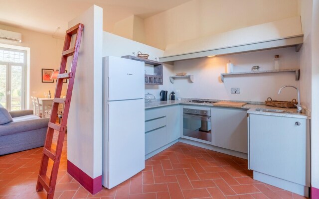 Borgo Syrah Frantoio 4