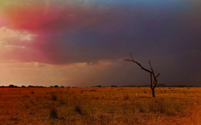Zwahili Game Lodge & Spa