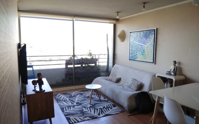 Central Apartment Providencia