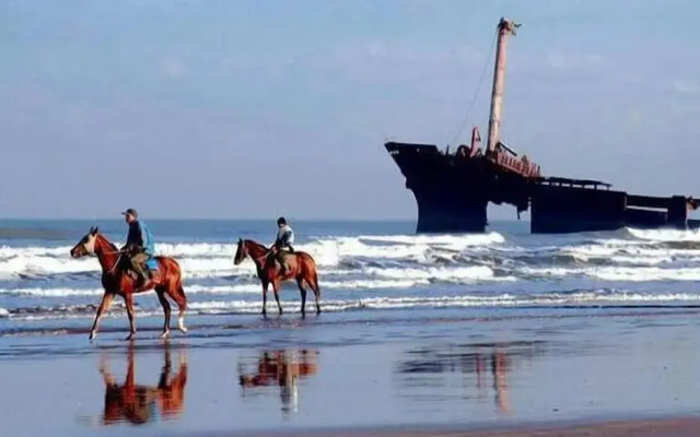 Riad Eucalyptus Vue Mer