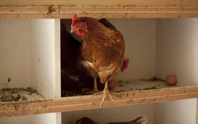 Cascina Borgofrancone