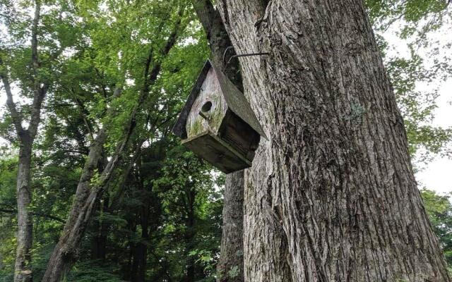 Sheffield 1802 House