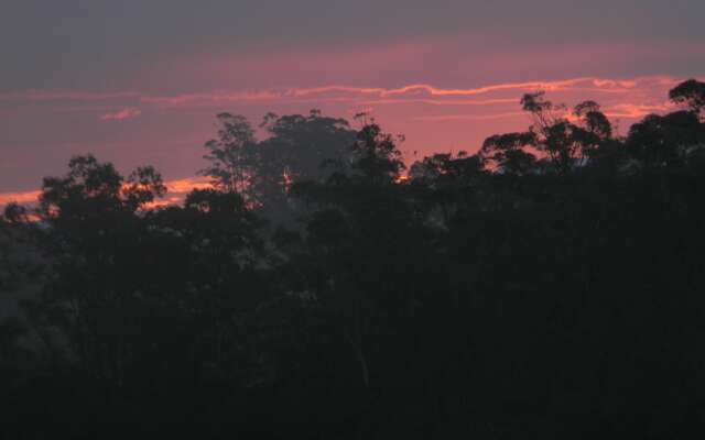 Morada das Bromélias