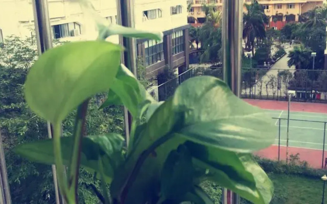 Sanya Rainbow Footprint Guesthouse