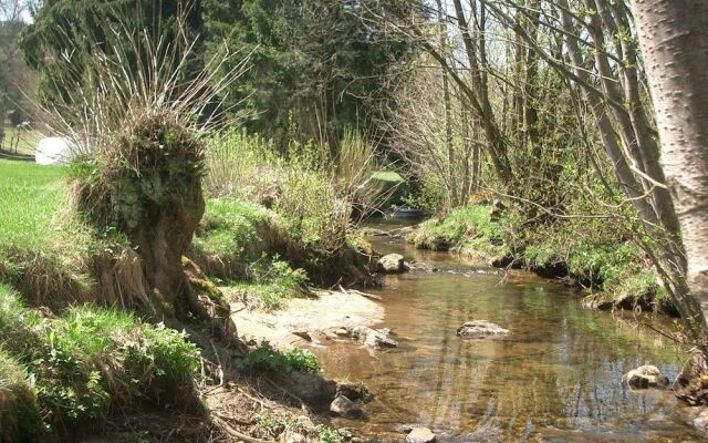 Ellerbeck Gesundheits- und Wellnesshof