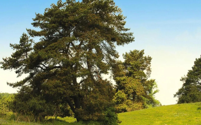Ferienhaus am Garder See Inselblick