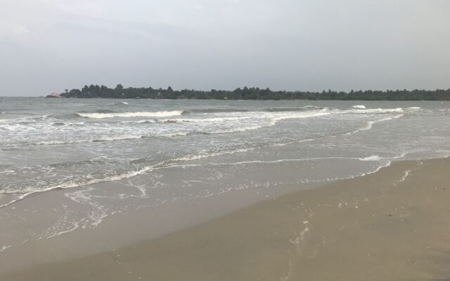Reef Pasikudah