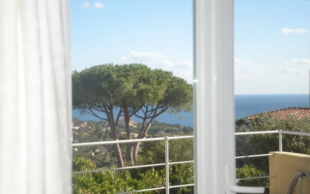 Lord of Sainte Maxime