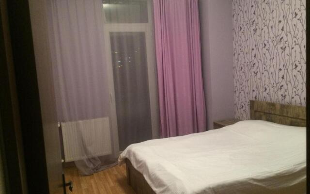 17 Kalistrate Kutateladze Street