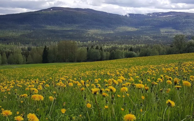 Edsåsdalen Fjällstation & Fjällby