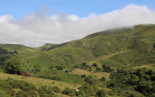 Apartamentos Zabalarena Artzaia