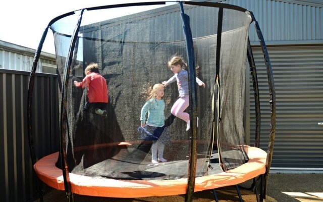 Thelma's Temora