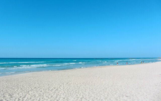 Incoronata - LE07505291000003072