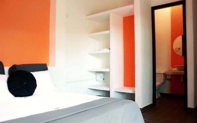 Color Hostel Palomino