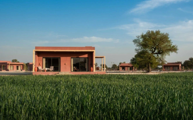 Mharo Khet
