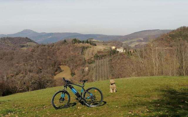 Il Castagneto
