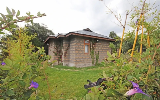 Olesamara Collection