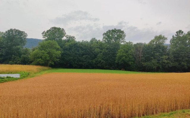 Agriturismo Munarin Caterina