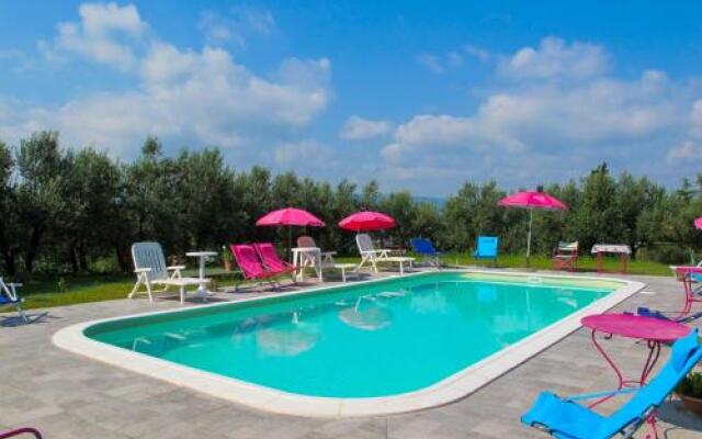 Conte Francesco I 230S