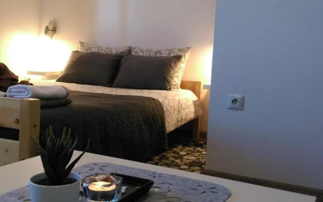 Studio Apartman Ždral