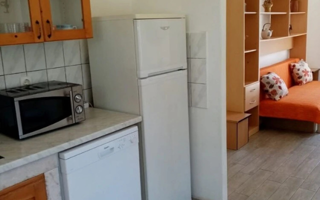 Danica - Large Terrace With sea View - A1 Dana