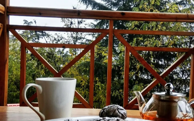 Soham's Chateau De Naggar