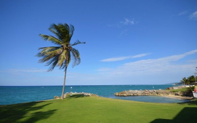 Coconuts Seafront 2BR, Ocho Rios