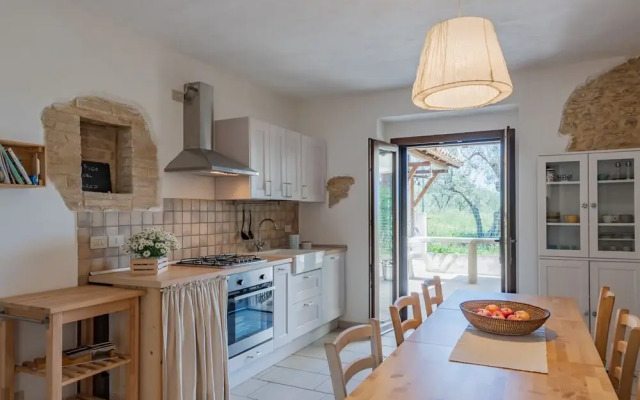 Il Fico nel Pozzo in Fossacesia