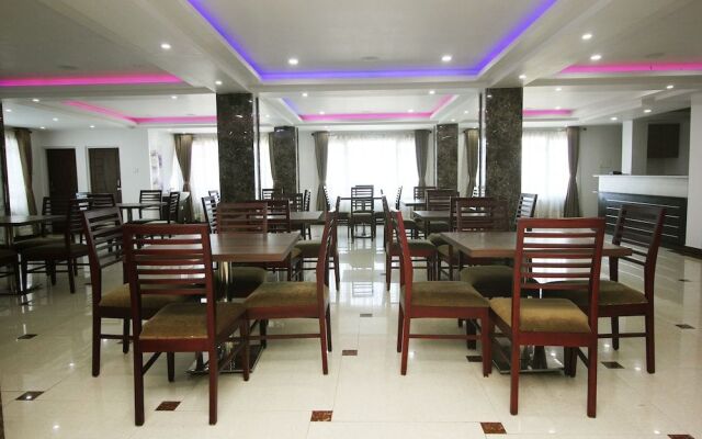 OYO 8241 Hotel Green Park